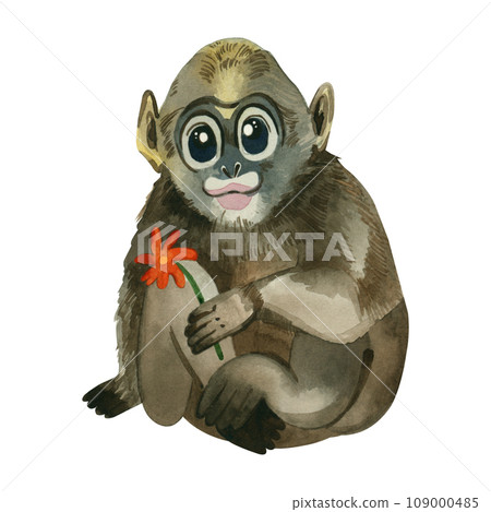 Watercolor illustration. Baby monkey drawn in watercolor on a white background. A monkey sits with an orange flower in its paw. Suitable for printing, for children, creativity, posters, books. 109000485
