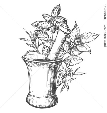 Copper mortar for grinding herbs and spices. Vector aromatic illustration: rosemary, basil, laurel. Hand sketch in engraving technique. Separate design elements in a rustic style. 109000879