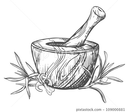 Rosemary and a wooden mortar for crushing herbs. Vector illustration of aromatic herbs, spices. Hand sketch in engraving technique. Separate design elements in a rustic style. Rosemary and a wooden mortar for crushing herbs. Vector illustration of aromatic herbs, spices. Hand sketch in engraving technique. Separate design elements in a rustic style. 109000881