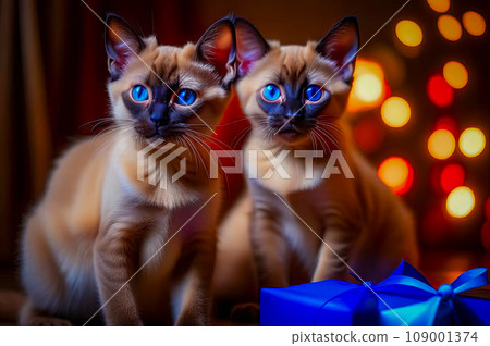Beautiful cute kittens with Christmas gifts in a festive interior 109001374