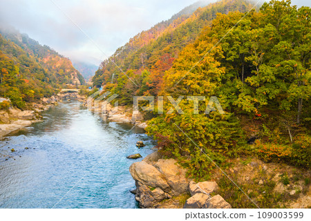 Autumn Yamaseiji [Ikusaka Village, Higashichikuma District] 109003599