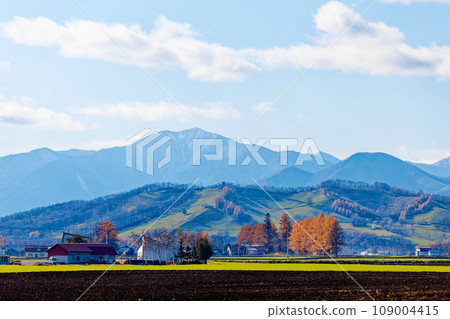 新嵐山 109004415