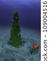 聖誕樹在海 109004516