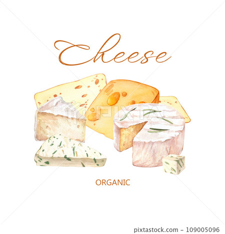 Cheeses with cutted pieces eimage. Creamy cutted brie or camembert cheese. French cuisine milk product. Tasty healthy organic snack. Watercolor hand-drawn illustration isolated on white background. 109005096