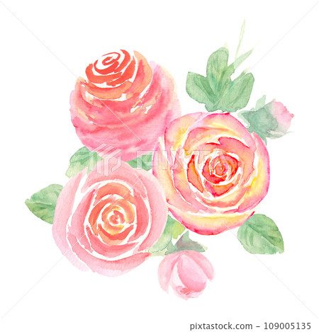 Watercolor hand pink rose flower bouquet 109005135