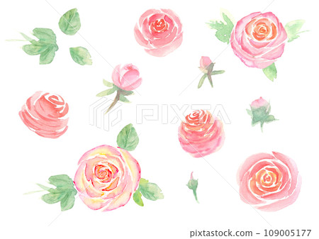 Watercolor hand pink rose flower and leaves set Watercolor hand pink rose flower and leaves set 109005177