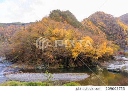 《岩手縣》深秋的久慈溪秋葉 《岩手縣》深秋的久慈溪秋葉 109005753