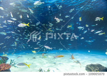 一群尷尬 一群尷尬 109005870