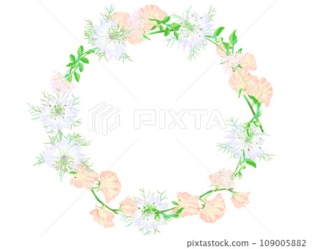 黑種草甜豌豆框架 109005882