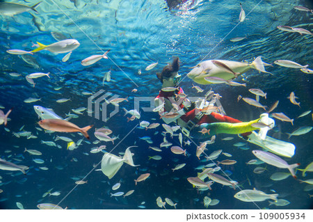 Zookeeper feeding tropical fish 109005934