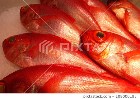 魚店冰上擺放的野生金鯛魚 109006193