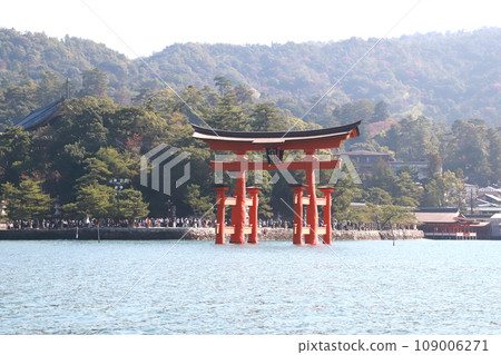 晨霧中的宮島鳥居 晨霧中的宮島鳥居 109006271