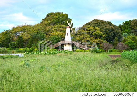 Dutch windmill tower, Miharashi Park, early autumn scenery 109006867