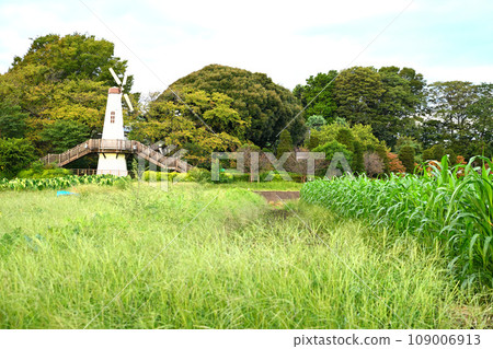 Dutch windmill tower, Miharashi Park, early autumn scenery 109006913