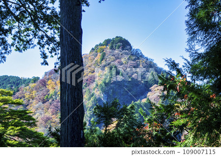 東京都禦嶽山無宗禦岳神社奧之院養海所 109007115