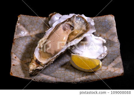 天然岩牡蠣，生牡蠣，檸檬細胞，黑色輪廓，俯視圖 109008088