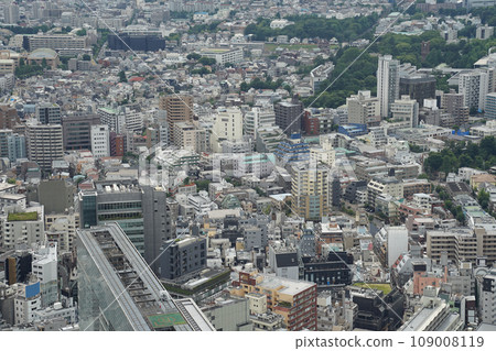 Scenery near Shibuya, Tokyo, Japan 109008119
