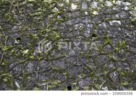 background texture surface stone walls with plant at garden background texture surface stone walls with plant at garden 109008386