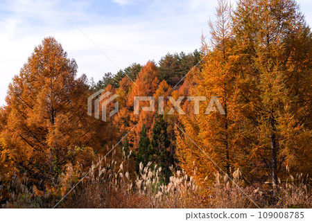 231104 乘鞍岳麓 g312 109008785