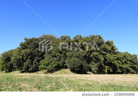 天神山古墓 109009966