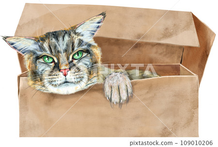 Portrait of a funny cat looking out of the box. Portrait of a funny cat looking out of the box. 109010206