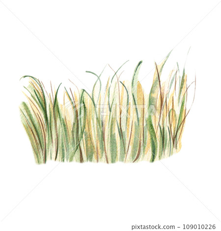 Field of wheat landscape watercolor illustration isolated on white background. Hand drawn grass. View of rye hand painted. Element for design package bread, trade, grocery store, bakery 109010226