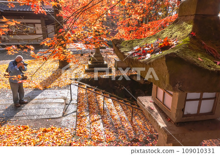 231107 Hie Shrine s117 231107 Hie Shrine s117 109010331