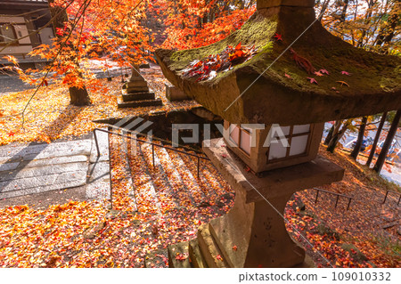 231107 Hie Shrine s115 109010332