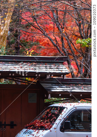 231107 Hie Shrine g026 231107 Hie Shrine g026 109010373