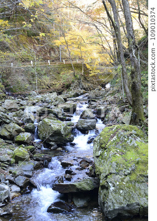 Hanazono valley of autumn leaves Hanazono valley of autumn leaves 109010374