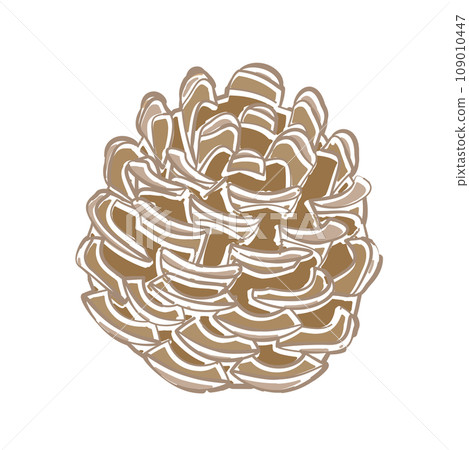 Illustration of a pine cone with a soft line drawing touch Illustration of a pine cone with a soft line drawing touch 109010447