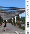 Scenery with bricks 109010508