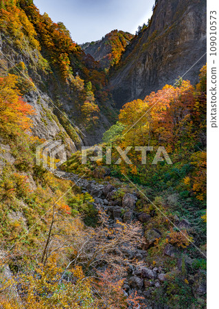秋葉 白山白川鄉白之路 2023 秋季 石川縣 秋葉 白山白川鄉白之路 2023 秋季 石川縣 109010573