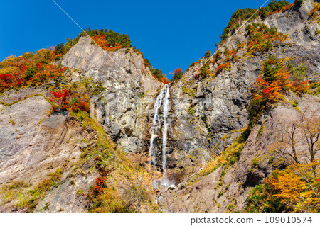 秋葉 白山白川鄉白之路 福部大瀧 石川縣 秋葉 白山白川鄉白之路 福部大瀧 石川縣 109010574