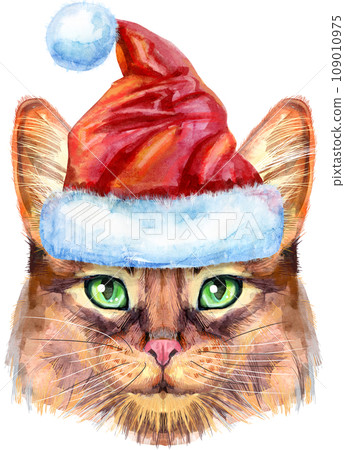 Lovely closeup portrait of Somali cat in Santa hat. Hand drawn watercolor painting on white background Lovely closeup portrait of Somali cat in Santa hat. Hand drawn watercolor painting on white background 109010975