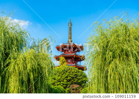 【神奈川縣】透過柳樹看到川崎大師的八角五層塔 【神奈川縣】透過柳樹看到川崎大師的八角五層塔 109011159