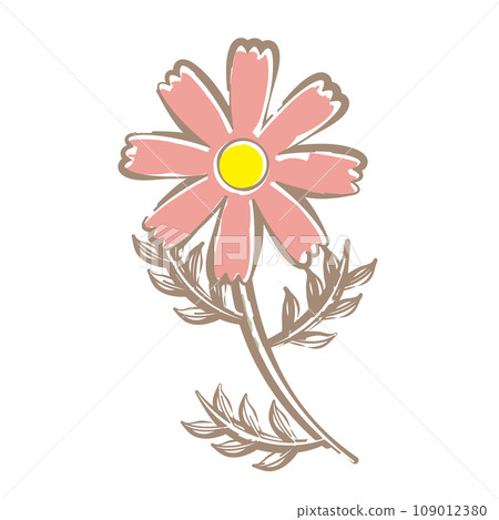 Pink cosmos flowers, soft line drawing touch Pink cosmos flowers, soft line drawing touch 109012380