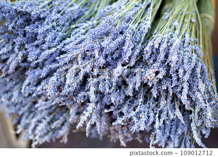 France Nice market. Dry lavender for sale. Light purple colour. Pattern of small natural violet elements. Aromatic mediterranean product. Colorful image. France Nice market. Dry lavender for sale. Light purple colour. Pattern of small natural violet elements. Aromatic mediterranean product. Colorful image. 109012712
