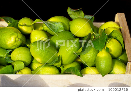 Local market. Boxes with tangerines. Fresh mandarin oranges or tangerines fruit with leaves in boxes at the open air local food market. Wholesale depot of exotic fruits. 109012716
