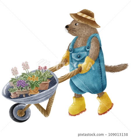 Watercolor painting of cartoon groundhog pushing a gardening plant cart. Watercolor painting of cartoon groundhog pushing a gardening plant cart. 109013138