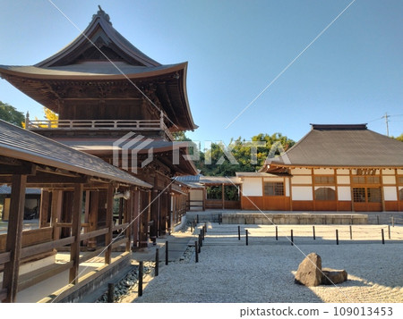 秋天的干Gonzin 秋天的干Gonzin 109013453