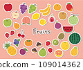 Simple fruit illustration set 109014362
