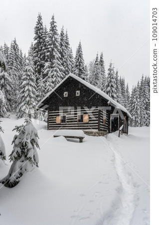 Small wooden hut in winter Jizera Mountains, Czechia 109014703