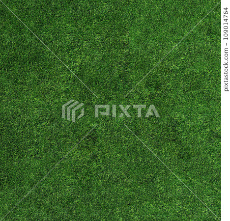 Close-up of neatly trimmed green grass top view 109014764