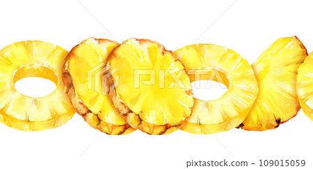 watercolor seamless border with pineapple, rings and slices of ripe pineapple, sketch of tropical fruit, hand drawn illustration, food illustration isolated on white background 109015059