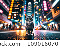 Cat walking in a big city at night: AI-generated image 109016070