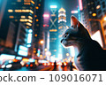 Cat staring at the big city night: AI-generated image 109016071