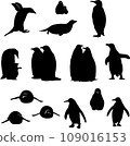 penguin, bird, chick, portrait, image, fauna, various poses, wildlife, white, black, vector, graphics, drawing, picture, stylization, image, isolated, illustration 109016153