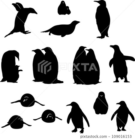 penguin, bird, chick, portrait, image, fauna, various poses, wildlife, white, black, vector, graphics, drawing, picture, stylization, image, isolated, illustration penguin, bird, chick, portrait, image, fauna, various poses, wildlife, white, black, vector, graphics, drawing, picture, stylization, image, isolated, illustration 109016153