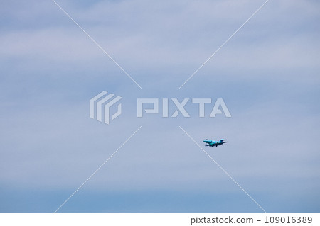 [Aichi Prefecture] Aircraft at Air Self-Defense Force Komaki Base 109016389